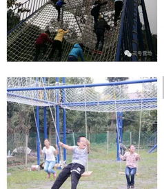 戶外體驗式教育培訓實力機構,專注拓展培訓 親子活動